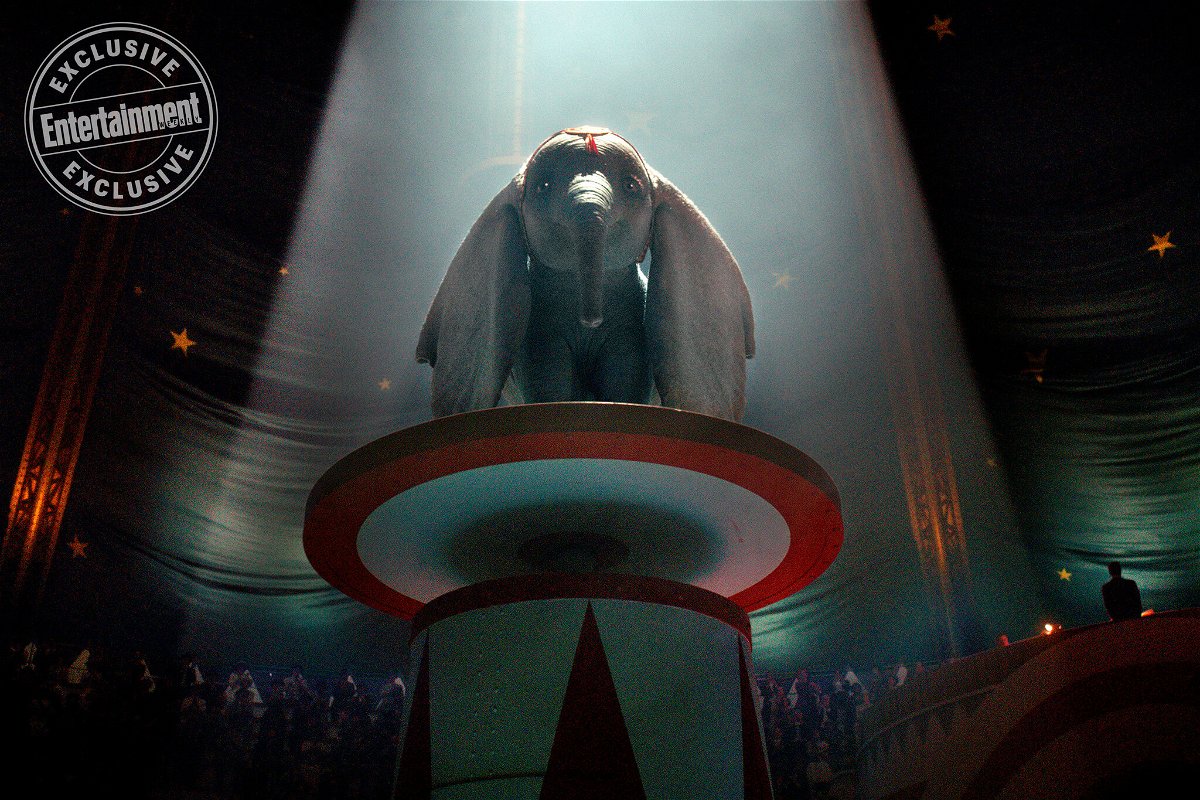 L'elefantino Dumbo pronto ad esibirsi al circo