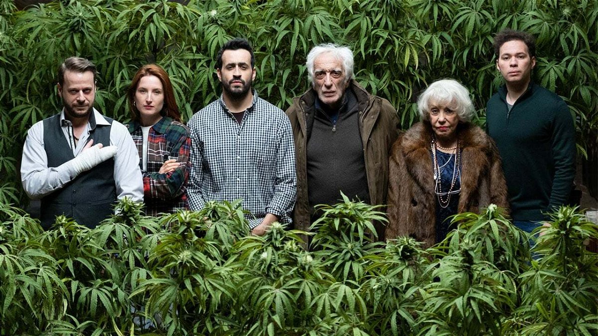 Joseph e la sua famiglia sono circondati dalla marijuana 