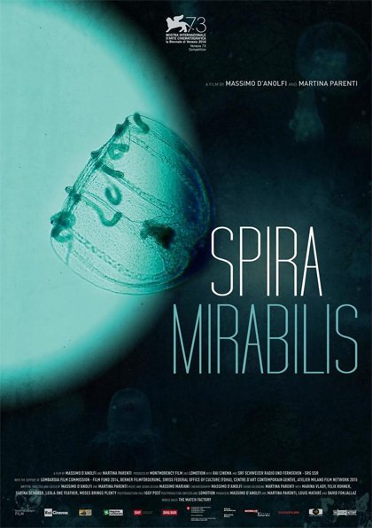 Spira Mirabilis, da Venezia ai cinema italiani