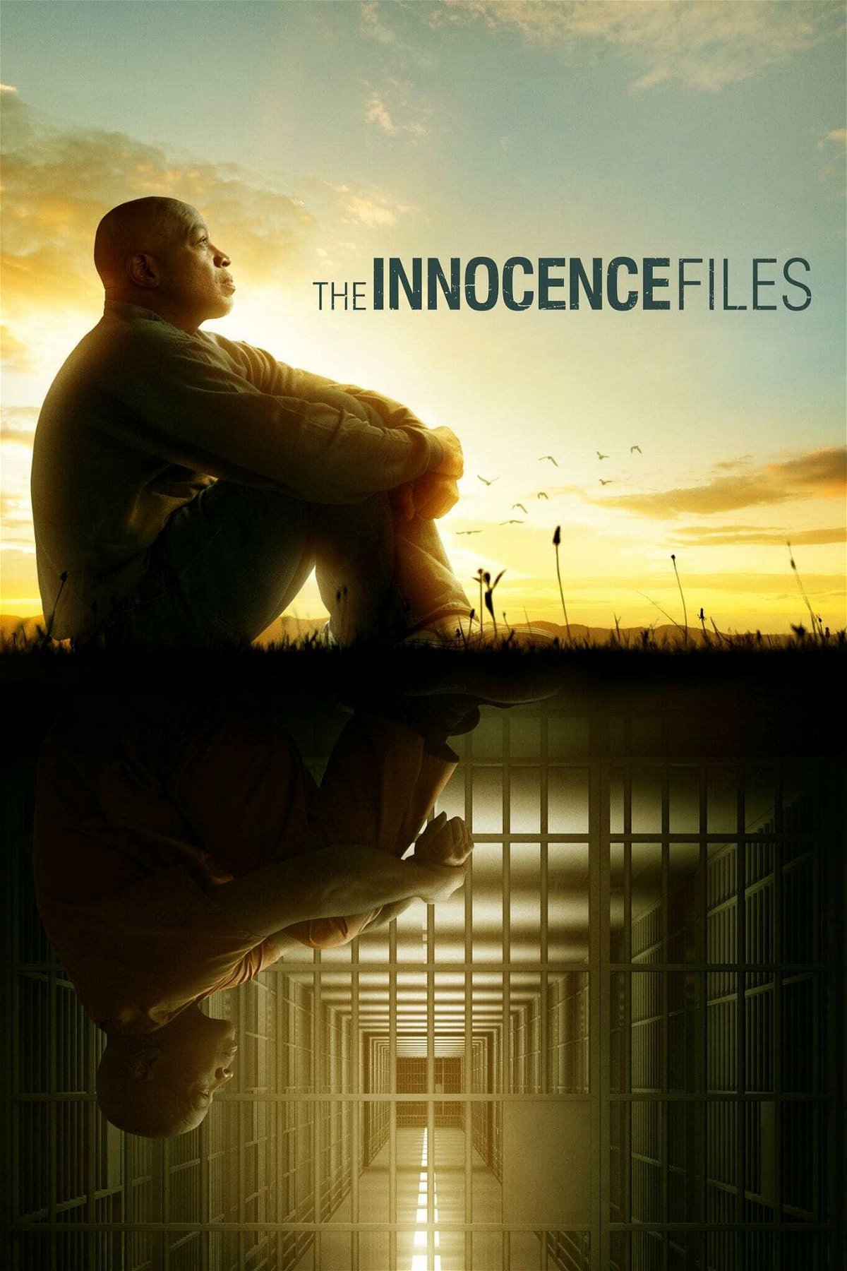 Il poster ufficiale della serie The Innocence Files