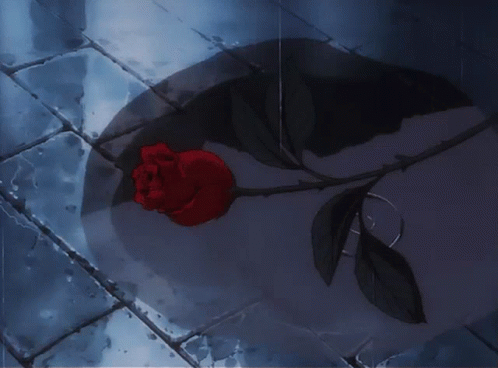 Una rosa rossa a terra
