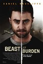 Copertina di Daniel Radcliffe è un corriere della droga nel trailer di Beast of Burden