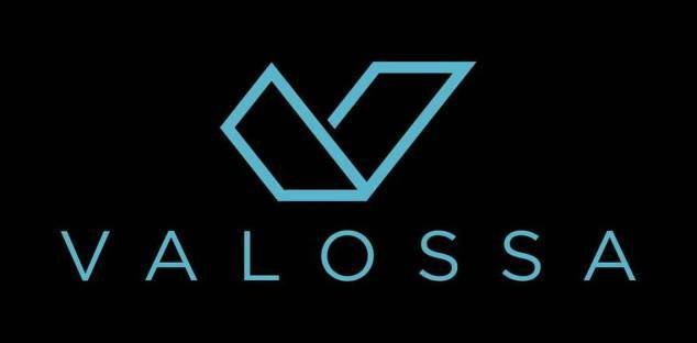 Il logo originale di Valossa