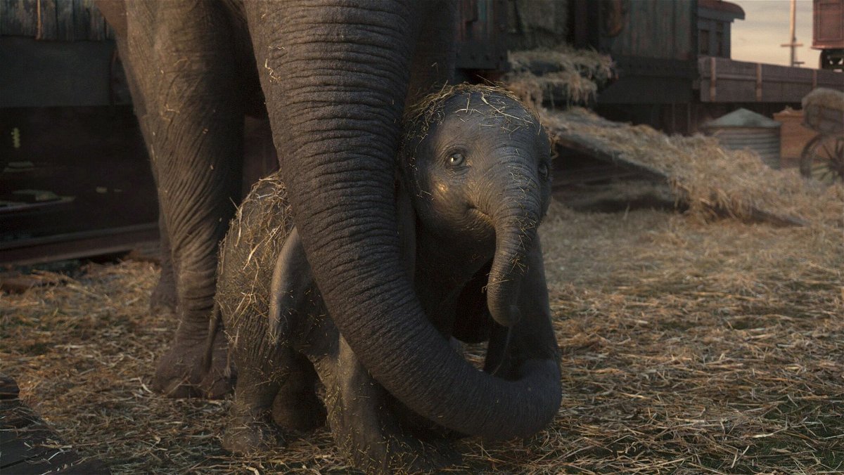 Dumbo e la mamma