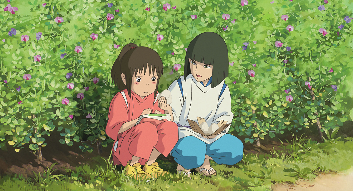 Haku consola Chihiro in un campo di fiori