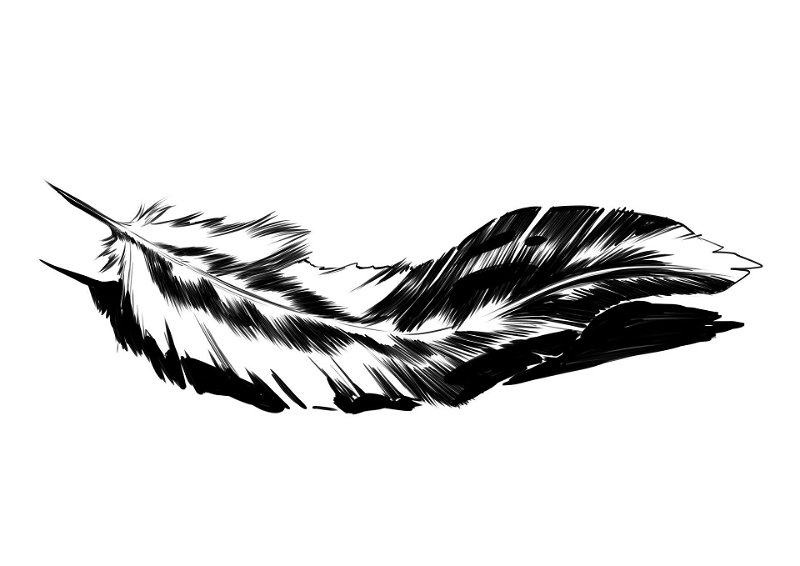 Immagine interna del librogame Il barbaro grigio, piuma di arpia