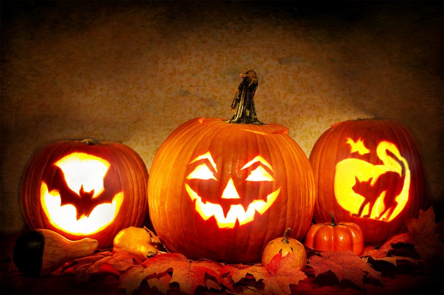 Zucca Halloween pixabay