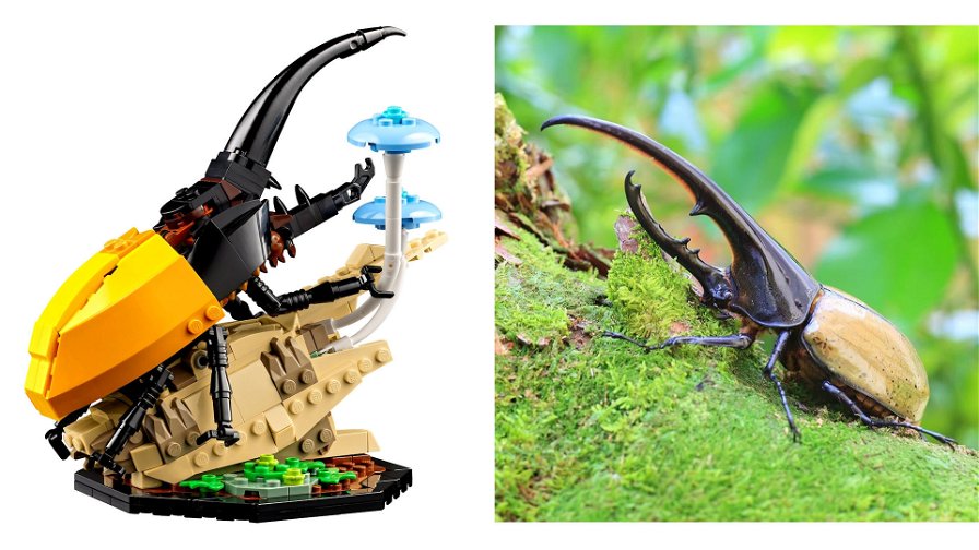 Tutti entomologi con il Set LEGO Ideas Collezione di insetti