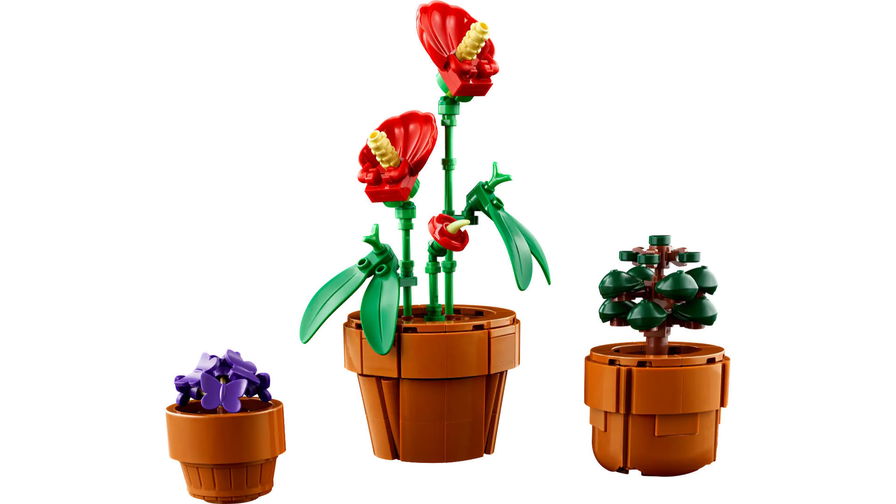 Cresce il vivaio LEGO Botanical: è in arrivo un nuovo set