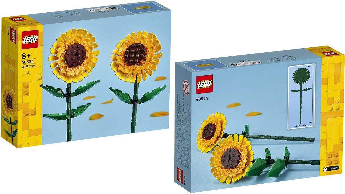 LEGO e San Valentino: anche i mattoncini hanno un cuore! - CulturaPop