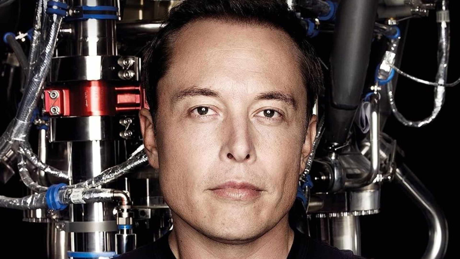 Immagine di Tesla di Elon Musk annulla un ordine dopo aver fatto preparare 4.000 torte