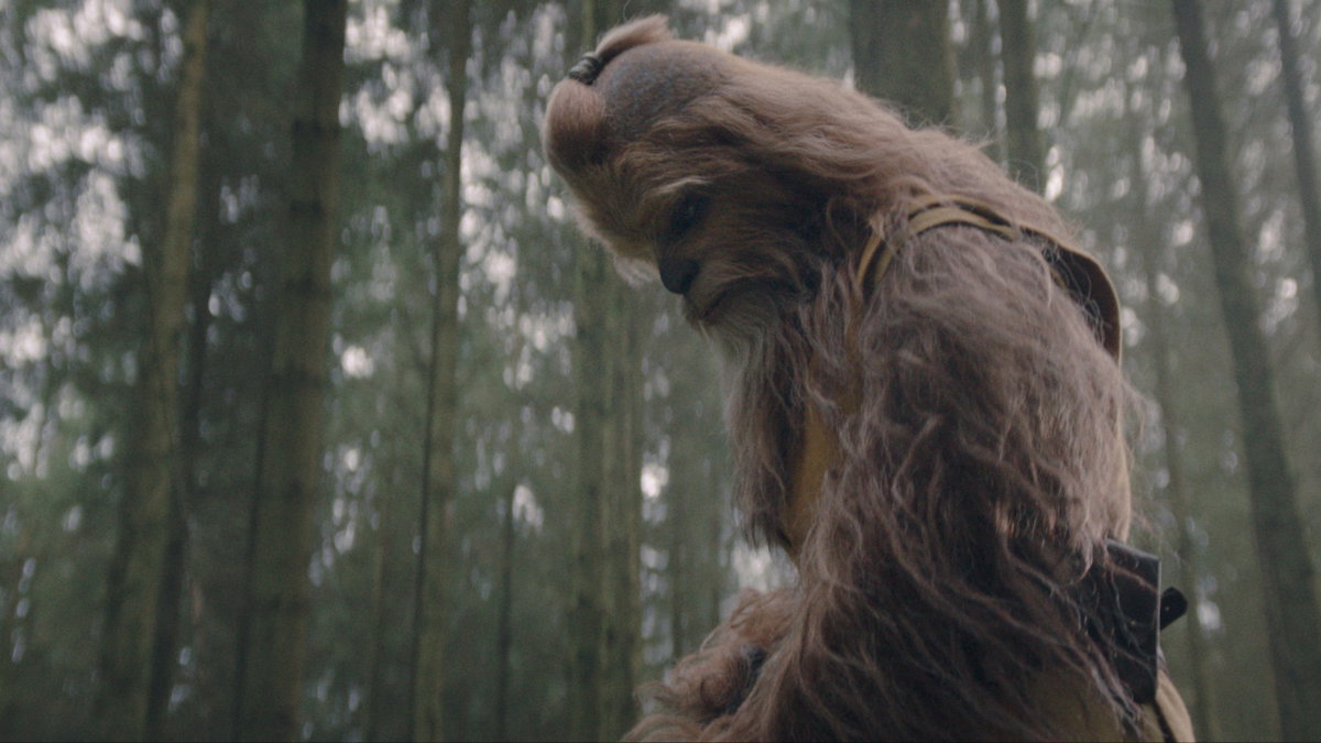 Immagine di Star Wars: The Acolyte, chi è il Maestro Kelnacca?
