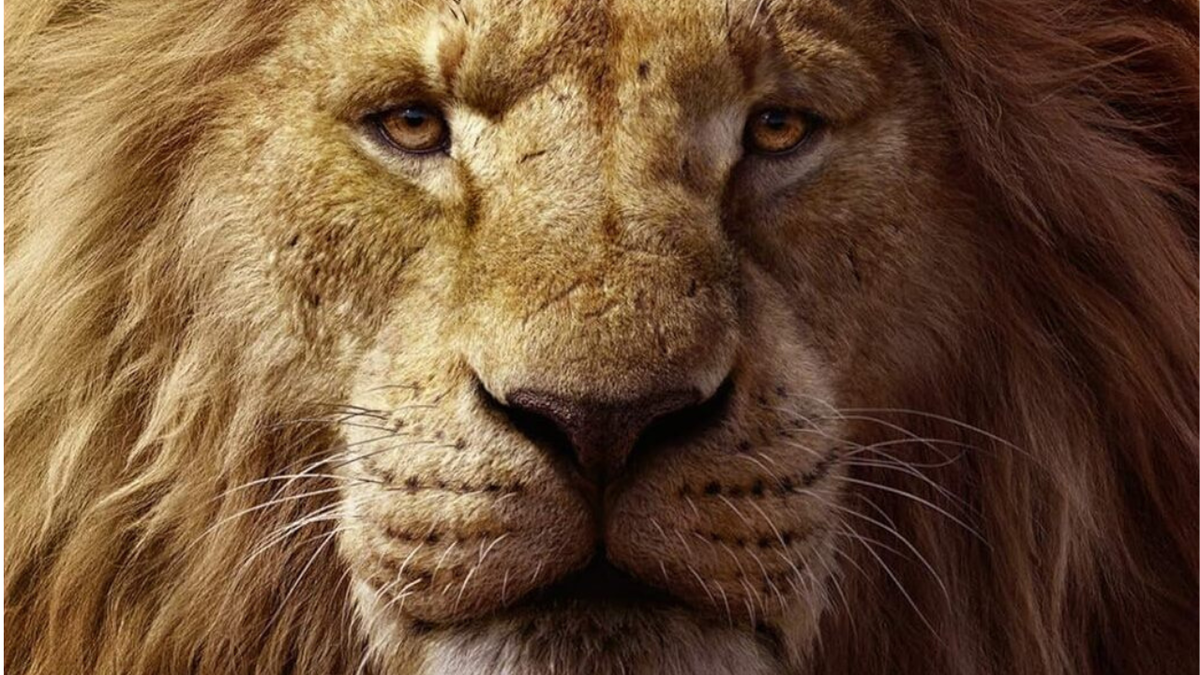 Immagine di Mufasa: The Lion King - Ecco la magia visiva del teaser [GUARDA]