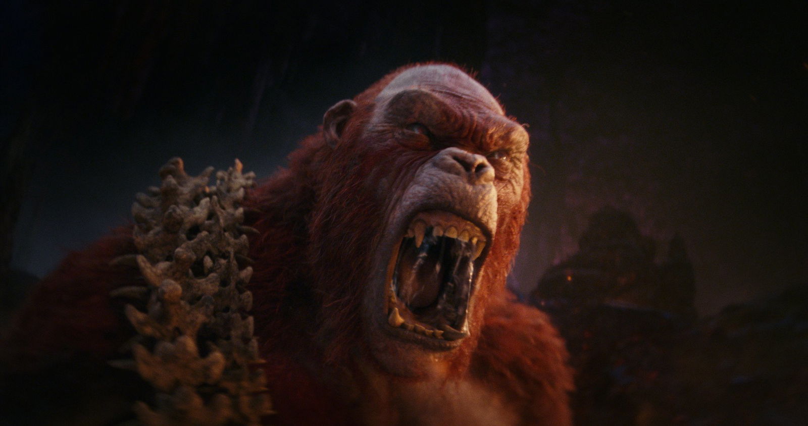 Immagine di Come e dove vedere Godzilla e Kong - Il nuovo Impero in streaming