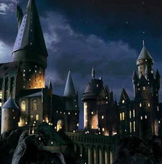 Copertina di Harry Potter, cos'è accaduto tra le avventure del maghetto e i fatti narrati in Animali Fantastici?