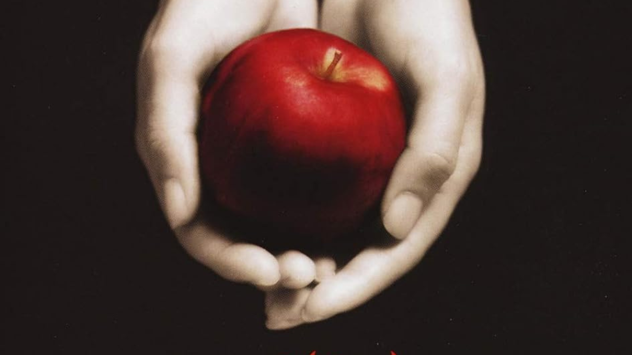 Immagine di Twilight: guida ai libri della saga di Stephenie Meyer