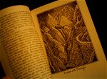 Il Signore degli anelli e oltre: i libri di Tolkien e l'ordine in cui leggerli