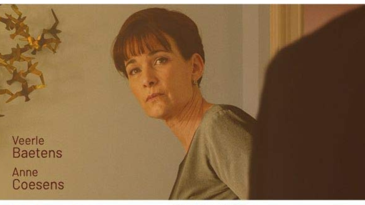 Immagine di Stasera in TV Doppio sospetto: il finale e la spiegazione del thriller sospeso tra paranoia e follia