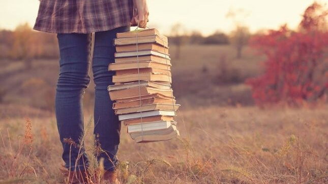 Immagine di Libri: le vendite in Italia nel 2024 sono calate