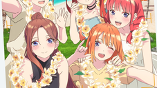 Copertina di The Quintessential Quintuplets HoneyMoon Arc: il nuovo trailer mostra i personaggi alle Hawaii