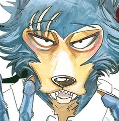 Copertina di Beastars: il gran finale si avvicina, annunciata la data d'uscita dell'anime