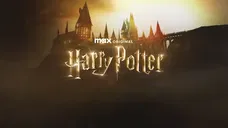 Copertina di Harry Potter - Serie TV: le prime due stagioni verranno girate insieme, ecco perché