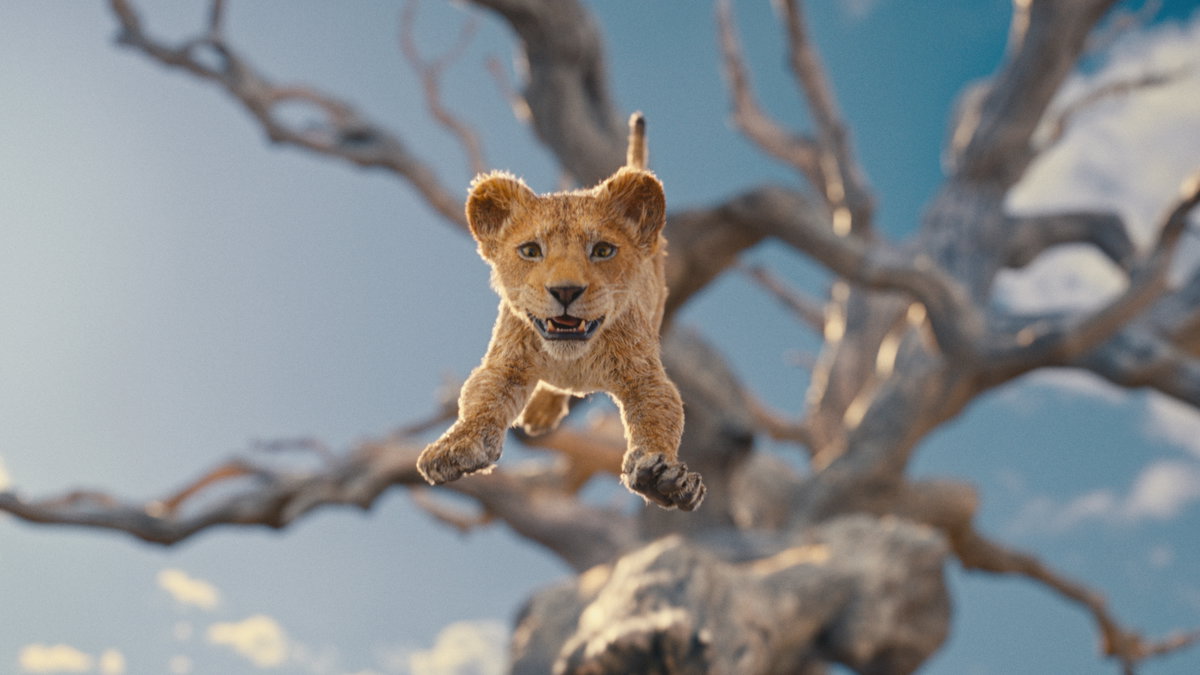Immagine di Mufasa: Il Re Leone, dove e quando guardarlo in streaming
