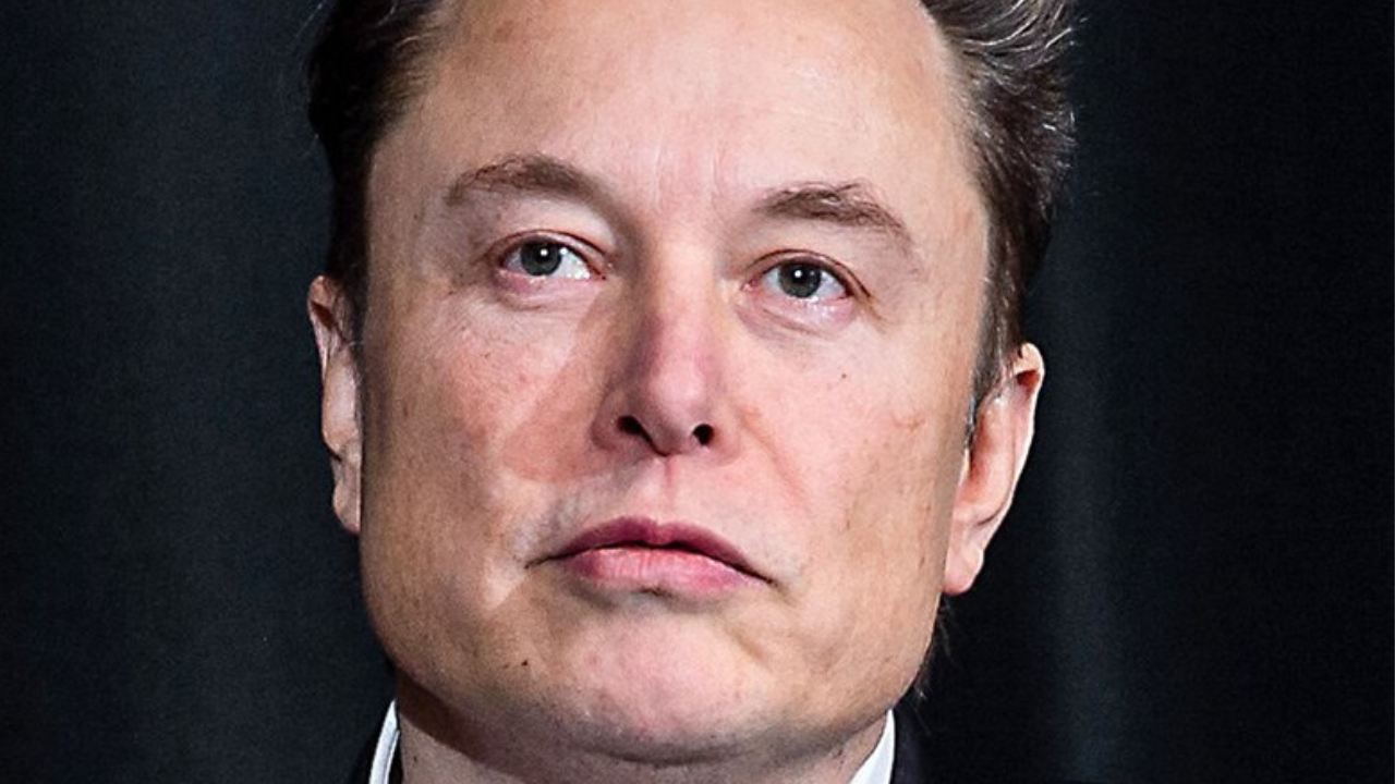 Immagine di Elon Musk arrabbiato chiede: "Quanto costa Hasbro?"