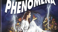 Copertina di Phenomena: in sviluppo una serie TV dal film di Dario Argento