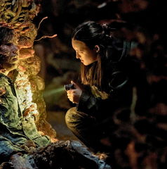 Copertina di The Last of Us Stagione 2: easter egg e curiosità del quinto episodio