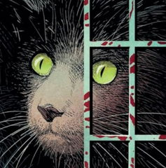 Copertina di Pre-ordina i fumetti BAO Publishing in uscita a luglio 2025