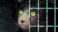 Copertina di Pre-ordina i fumetti BAO Publishing in uscita a luglio 2025