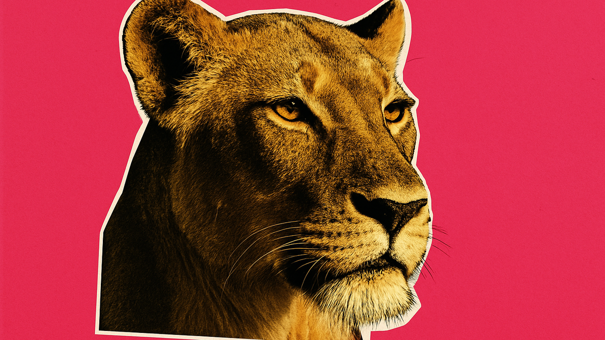 Immagine di Ragazzo ucciso da un leone in uno zoo brasiliano