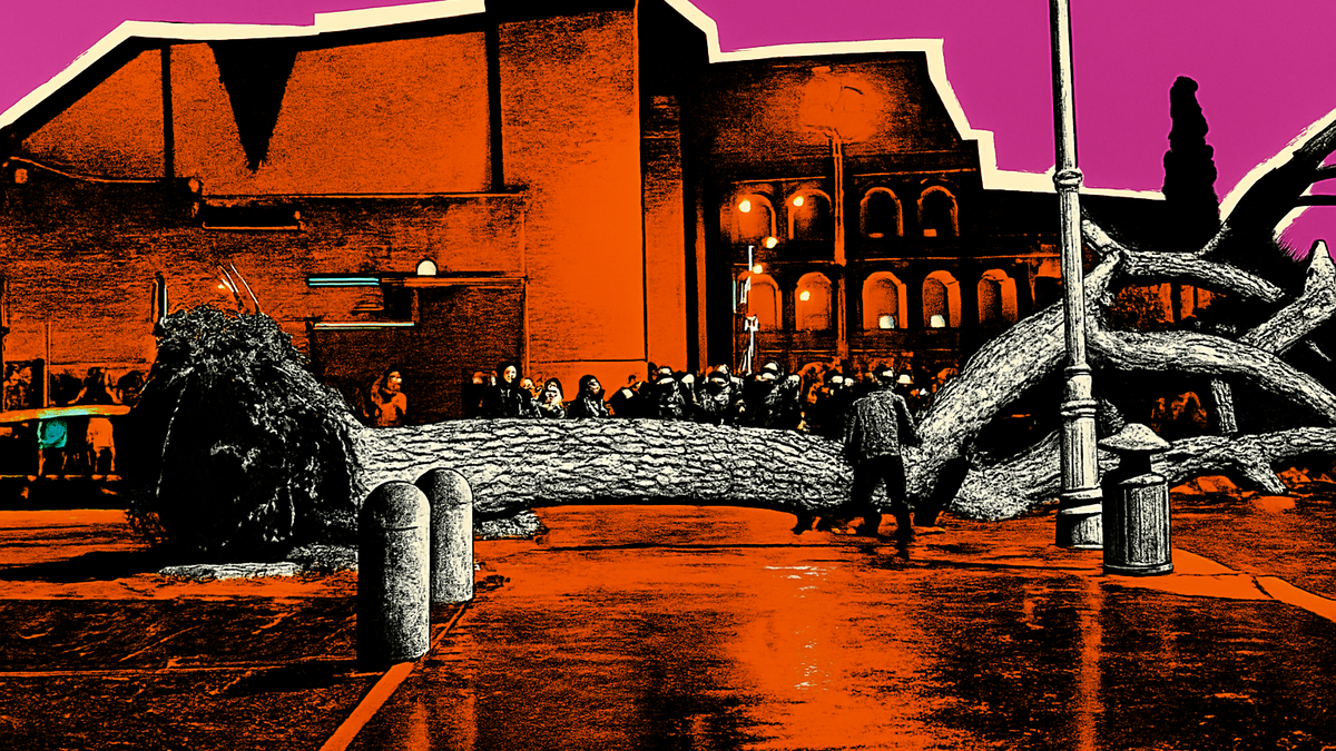Immagine di Crolla pino di 20 metri a Roma sui Fori Imperiali