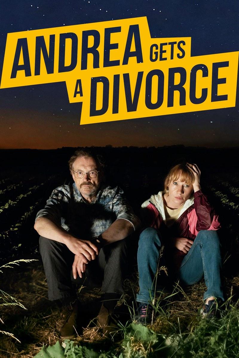 Il divorzio di Andrea - poster ufficiale