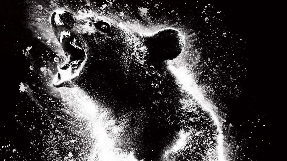 Immagine di Cocainorso, il film stasera in tv su 20: trama, cast e streaming