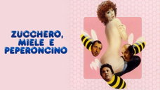Copertina di Come sono oggi gli attori di Zucchero, miele e peperoncino?