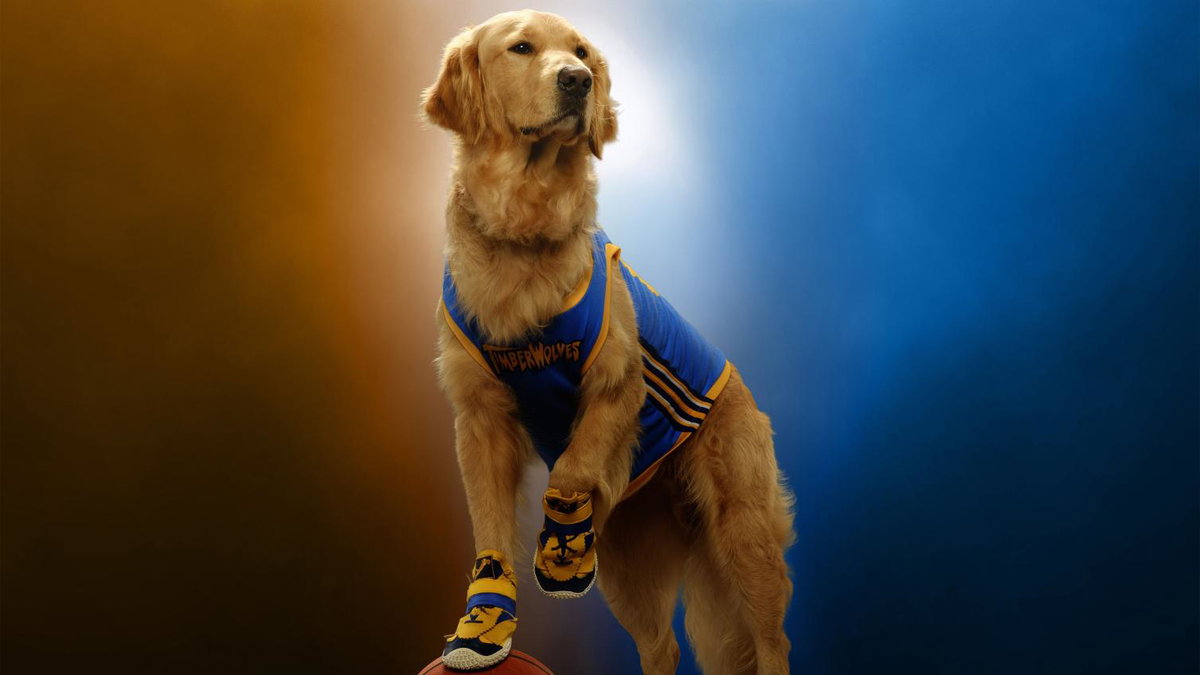 Immagine di Air Bud Returns: il teaser riporta Buddy al cinema il 22 gennaio 2027
