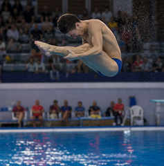 Copertina di Dove vedere la finale sincro 3 metri uomini degli Europei acquatici 2026 oggi: orario, TV e streaming