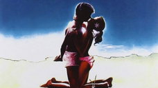 Copertina di Quali canzoni ci sono nella colonna sonora di Sapore di mare?