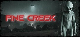 Copertina di Pine Creek: moglie scomparsa e alieni grigi nel nuovo teaser