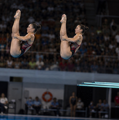 Copertina di Dove vedere Europei acquatici 2026, finale sincro 3 metri donne oggi: orario, canale e streaming