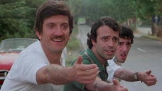 Copertina di Febbre da cavallo: trama, cast e dove vederlo in streaming