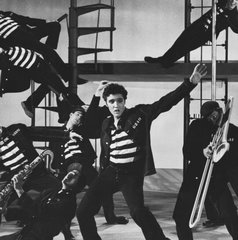 Copertina di Il delinquente del rock'n'roll, stasera su Rai Movie: trama, cast e streaming