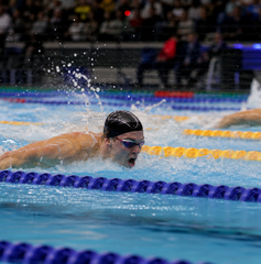 Copertina di Dove vedere la finale dei 400 misti maschili degli Europei di nuoto 2026 oggi: orario, canale e streaming