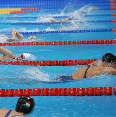 Copertina di Dove vedere la finale 4x200 stile libero femminile degli Europei di nuoto 2026 oggi: orario, canale e streaming