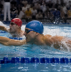 Copertina di Dove vedere Europei di nuoto 2026, semifinali 100 stile libero uomini oggi: orario, canale e streaming