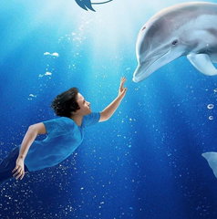Copertina di L'incredibile storia di Winter il delfino stasera su La5: trama, cast e streaming
