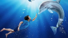 Copertina di L'incredibile storia di Winter il delfino: trama, cast e dove vederlo in streaming