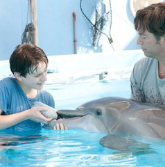 Copertina di Che fine ha fatto Austin Stowell, Kyle in L'incredibile storia di Winter il delfino?